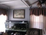 120 in Fish Room_1024x768.jpg