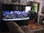 155 in Fish Room_1024x768.jpg