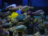 DSCN0344.jpg