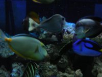 DSCN0349.jpg