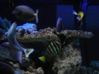 DSCN0350.jpg