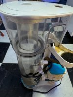 IMG_6388.jpeg