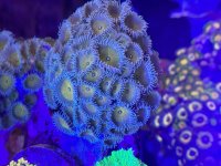 IMG_6840.jpeg