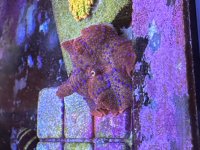 IMG_6847.jpeg
