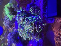IMG_8455.jpeg