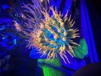 IMG_7179.jpeg