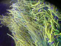 IMG_5771.jpeg