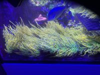 IMG_5773.jpeg