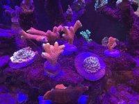 IMG_5928.jpeg