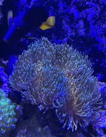 IMG_2047.jpeg