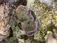 IMG_3668.jpeg
