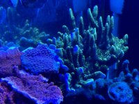 IMG_2783.jpeg