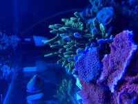 IMG_2782.jpeg