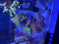 IMG_0246.jpeg