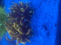 IMG_1339.jpeg