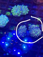 IMG_7606.jpeg