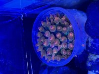 IMG_7945.jpeg