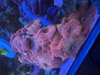 IMG_7953.jpeg
