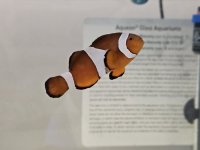 20240126_110607.jpg