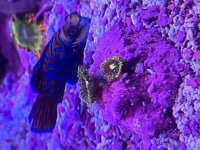 IMG_7922.JPG