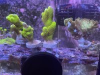 IMG_0062.jpeg