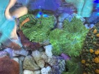 IMG_7949.jpeg