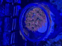 IMG_7946.jpeg
