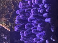 IMG_0880.jpeg
