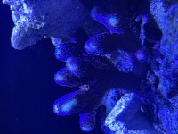 IMG_0873.jpeg