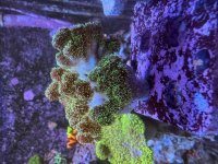 IMG_0380.jpeg