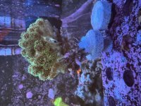 IMG_0379.jpeg