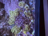 IMG_0381.jpeg