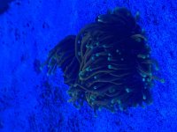 IMG_1458.jpeg
