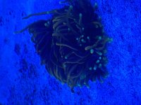 IMG_1457.jpeg