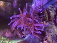 IMG_3433.jpeg