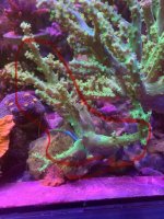 IMG_3432.jpeg