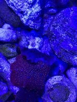 IMG_3428.jpeg