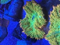IMG_8406.jpeg
