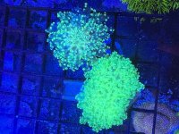 IMG_7936.jpeg