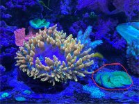 IMG_3883.jpeg