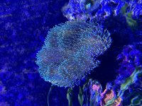 IMG_3912.jpeg
