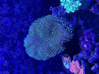 IMG_3842.jpeg