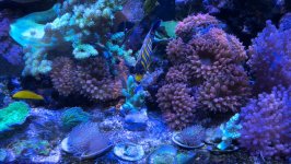 IMG_4010.jpeg