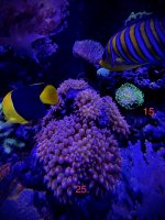 IMG_2789.jpeg