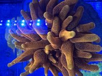 IMG_1209.jpeg