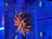 IMG_1206.jpeg
