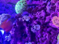 IMG_8125.jpg