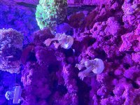 IMG_8126.jpg
