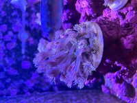 IMG_8127.jpg