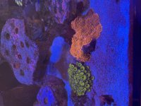 IMG_1860.jpeg